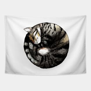 Tranquil Cat Sleeps in a Circle Tapestry