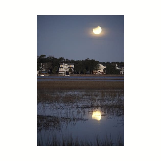 Moonlight over the Lowcountry by MJDiesl