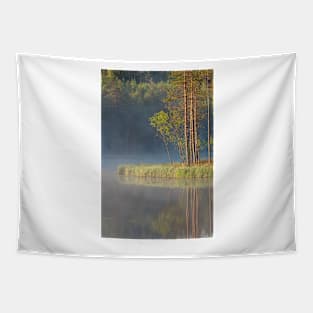 Forest reflecting to small lake at summer morning Tapestry