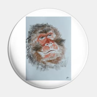 Monkey Pin