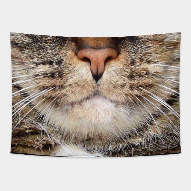 Cat face mask funny design - cat mouth face mask - animal mouth funny mask Tapestry by jack22