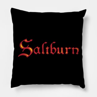 saltburn Pillow