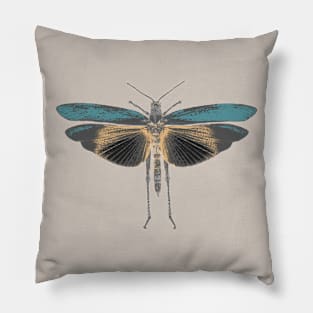 Moth in Pastel Colors Pillow