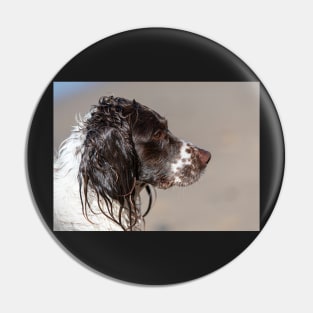 Welsh Springer Spaniel Pin