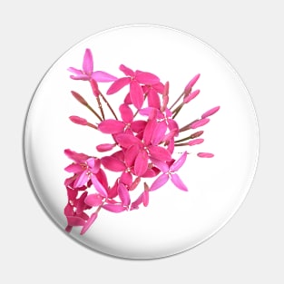 Pink Flowers of Florida Pin