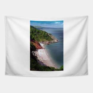 Oddicombe Beach Babbacombe Bay Devon Tapestry