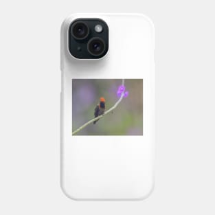 A Male Tufted Coquette Hummingbird in Trinidad Phone Case