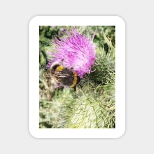 The Bee and Thistle bywhacky Magnet