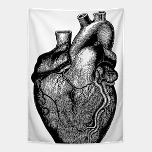 Human heart illustration Tapestry