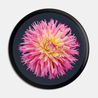 Pink Semi Cactus Dahlia Flower Circle Frame Pin