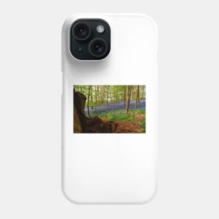 Bluebell Woods Greys Court Oxfordshire UK Phone Case