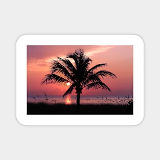 Florida Sunrise Magnet