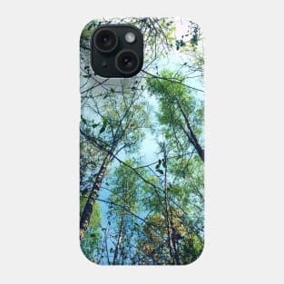 birch forest Phone Case