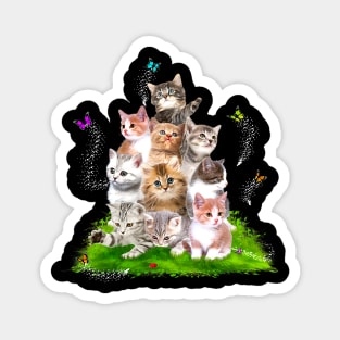 Kitten Lover funny Magnet