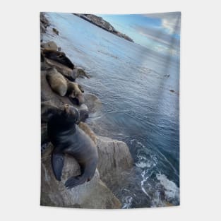 Sea Lion Overview Tapestry