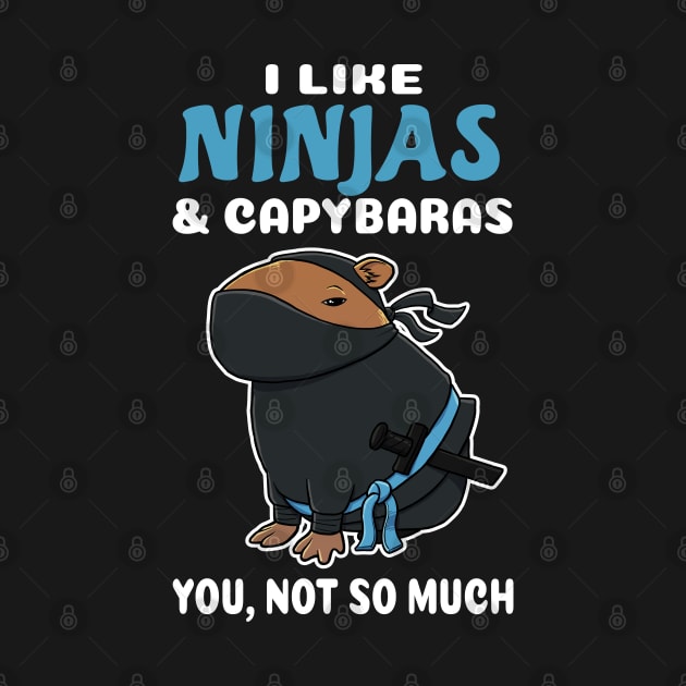 I Like Ninjas and Capybaras you not so much cartoon by capydays