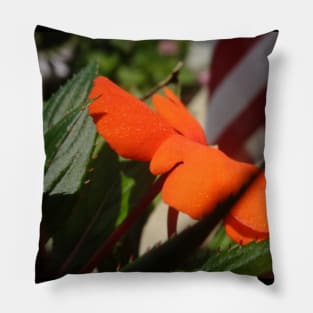 Beautiful photograph of orange flower Pillow