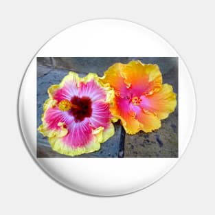 Hawaiian Hybrid Hibiscus Pin