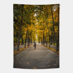 a walk in the autumn park Tapestry