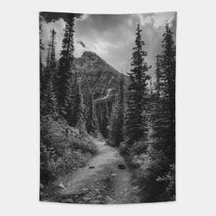 Jasper National Park Trail to Greatness V4 Tapestry