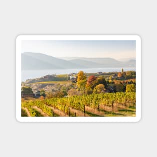 Okanagan Valley Vineyards in October Magnet