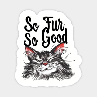 So Fur So Good, So Far So Good, Cat Pun, Cat Meme, Silly Cat, Cheeky Cat Magnet