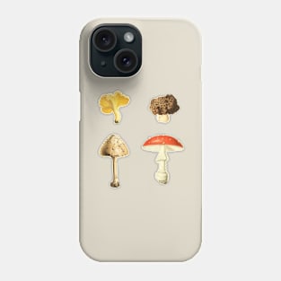 Autumn Mushrooms - 4 Vintage Mushroom Illustrations Phone Case