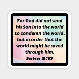 Bible Verse John 3:17 Magnet