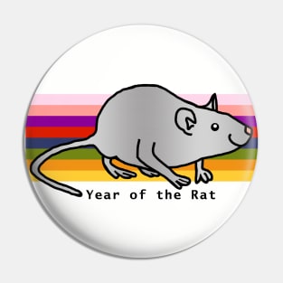 Year of the Rat on a Rainbow Pin