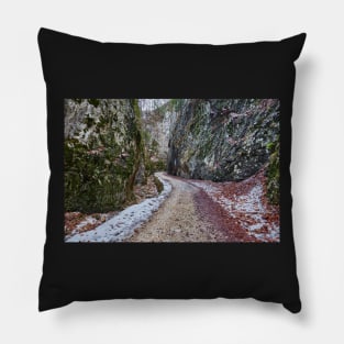 Deep canyon Pillow