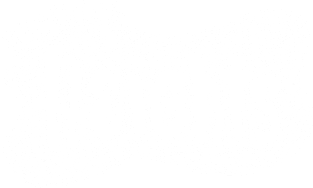 Hyperion Heights Magnet