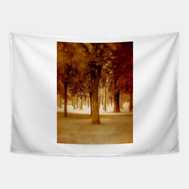 Trees in Sepia Tapestry by rosedew