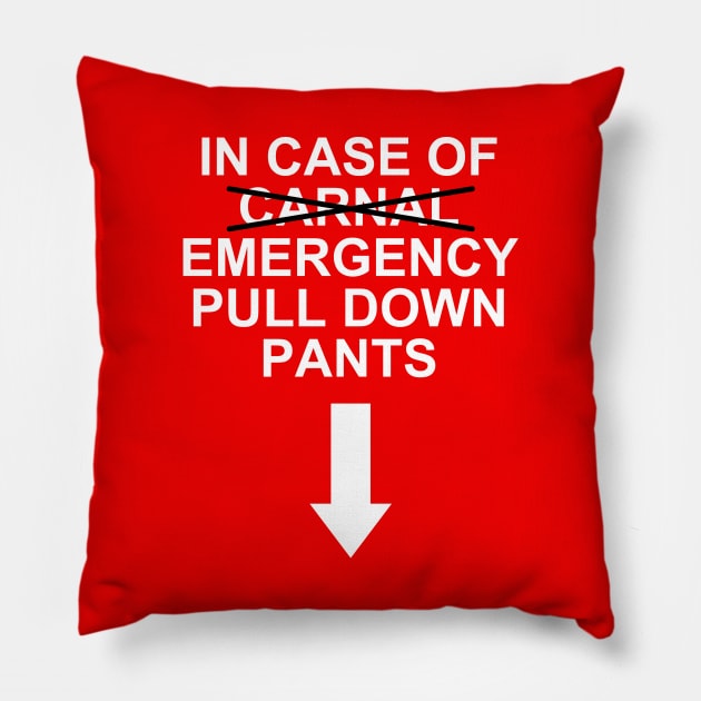 Funny Naughty NSFW Text Design Emergency Jokes Pillow by BoggsNicolas