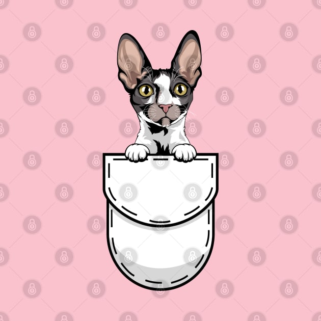 Funny Cornish Rex Pocket Cat by Pet My Dog