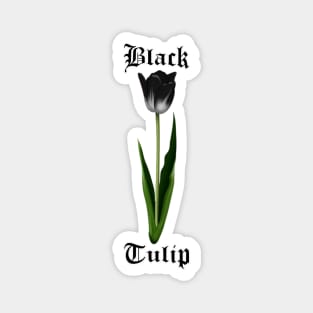 Black tulip – Gothic flower Magnet