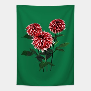 Dahlia Santa Claus Tapestry