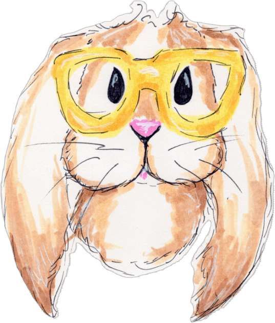 Bunny with Glasses Kids T-Shirt by Nicolashache