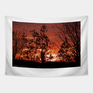 Fiery Sunset Tapestry