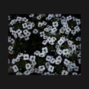 White Alyssum T-Shirt