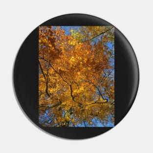 Autumn Pin