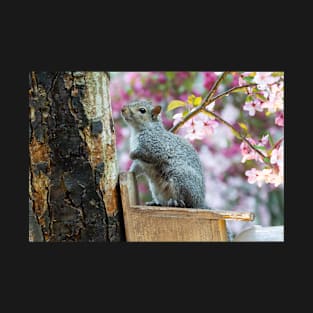 Flowering Trees T-Shirt