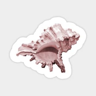 Grand pink conch seashell Magnet