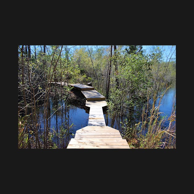 Crossing The Swamp by Cynthia48