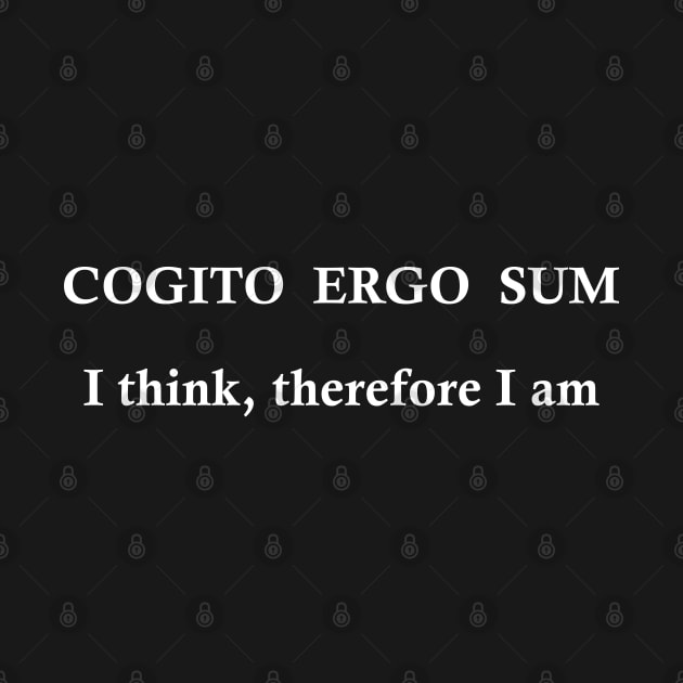 cogito ergo sum by omitay