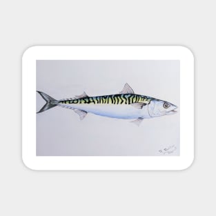 THE MACKEREL Magnet