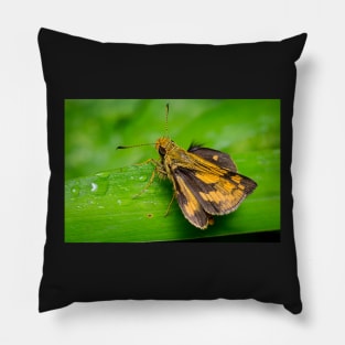 Unique and organic photo of a yellow skipper (butterfly) with wings opened Pillow
