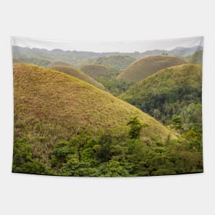 The Chocolate Hills, Carmen, Bohol, Philippines Tapestry