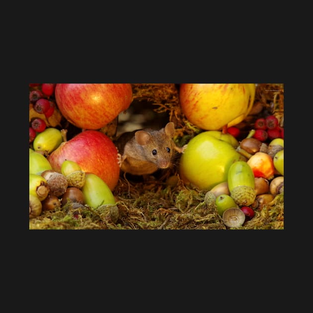 cute wild garden mouse by Simon-dell