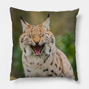 Yawning Lynx Pillow