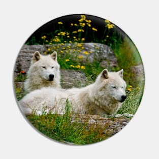 Arctic Wolves Pin